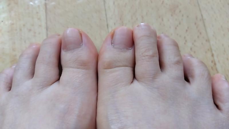 出品者名-写真-1